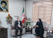 کتابخانه های عمومی یکی از مهمترین پایگاه های فرهنگی در گسترش فرهنگ کتابخوانی مفید در جامعه محسوب می شوند