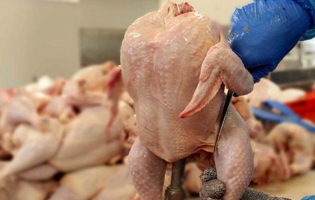 تولید گوشت مرغ در آذربایجان غربی به ۳۳۰ تن در روز رسید