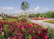 جشنواره گل‌ها در ارومیه برگزار می‌شود