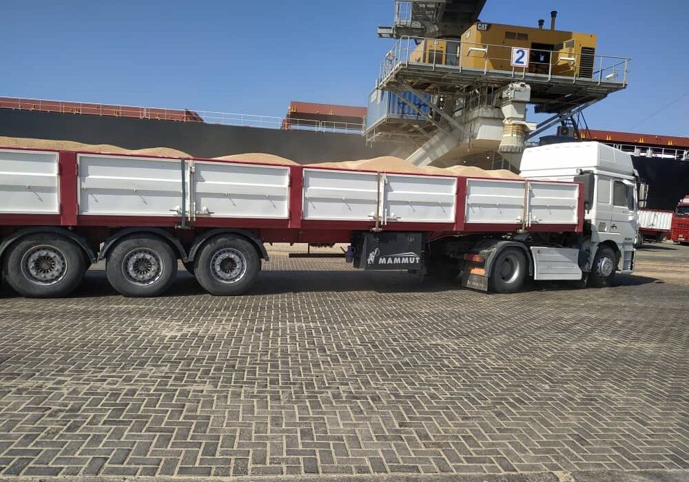 خروج گندم از آذربایجان غربی ممنوع است