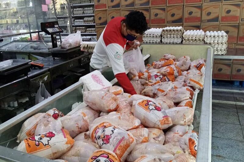 ۴۳۶ تن گوشت مرغ در بازار آذربایجان‌غربی توزیع شد ‌