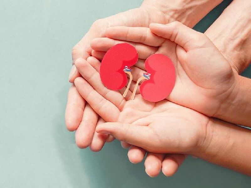 اهدای اعضای بدن بانوی ۴۱ ساله موجب نجات جان ۲ بیمار در ارومیه شد
