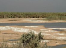 تالاب بین‌المللی نقده بطور کامل خشک شد