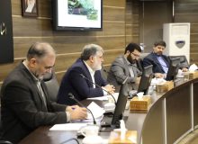 رویکرد دولت سیزدهم استفاده از فرصت های نهفته در مرزهاست/سه بازارچه مرزی جدید در آذربایجان غربی راه اندازی خواهد شد
