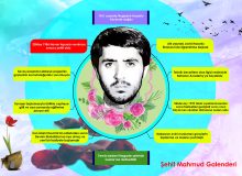 اینفوگرافی ترکی شهید محمود قلندری