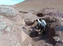 موش کور در ارومیه به دام افتاد