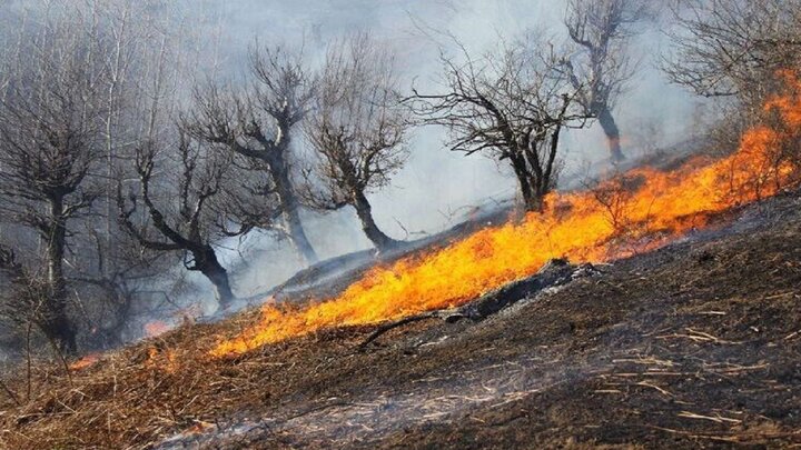 ۲۲۶ هکتار مناطق حفاظتی محیط‌ زیست آذربایجان‌غربی اطفای حریق شد