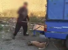 متخلف حیوان آزاری در ارومیه دستگیر شد
