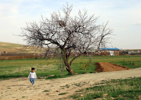 بهار در ارومیه