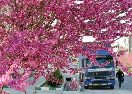 ارومیه شهر رویایی