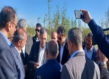 دولت به جبران خسارات بخش کشاورزی آذربایجان غربی کمک کند
