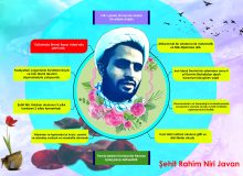 اینفوگرافی ترکی شهید محمود قلندری نیری جوان